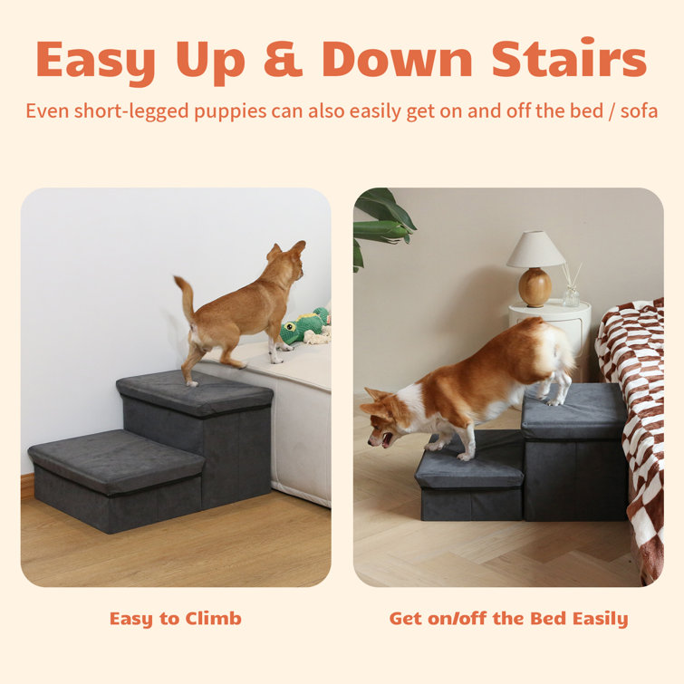 Wayfair dog outlet stairs